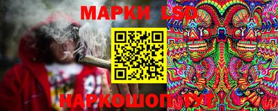 крисы Берёзовский