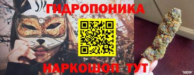 крисы Берёзовский