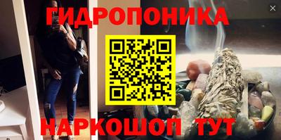 крисы Берёзовский