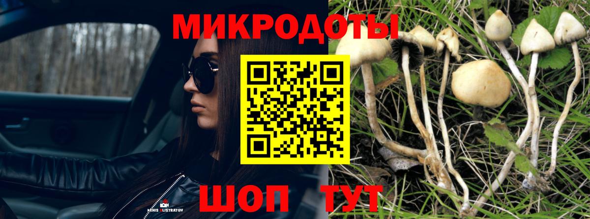 даркнет сайт  Галлюциногенные грибы GOLDEN TEACHER  Псилоцибиновые грибы Psilocybe  Вход с VPN  Ивантеевка 