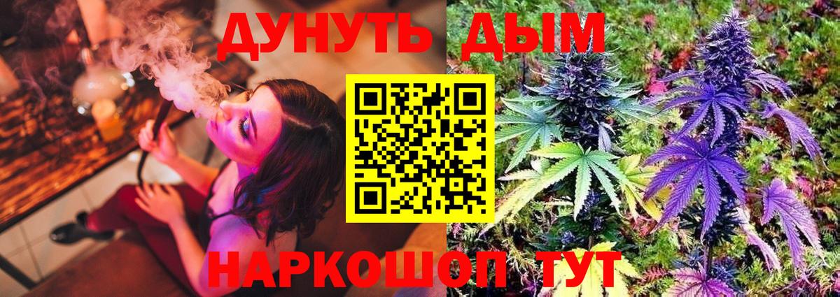 Бошки марихуана гибрид Ивантеевка