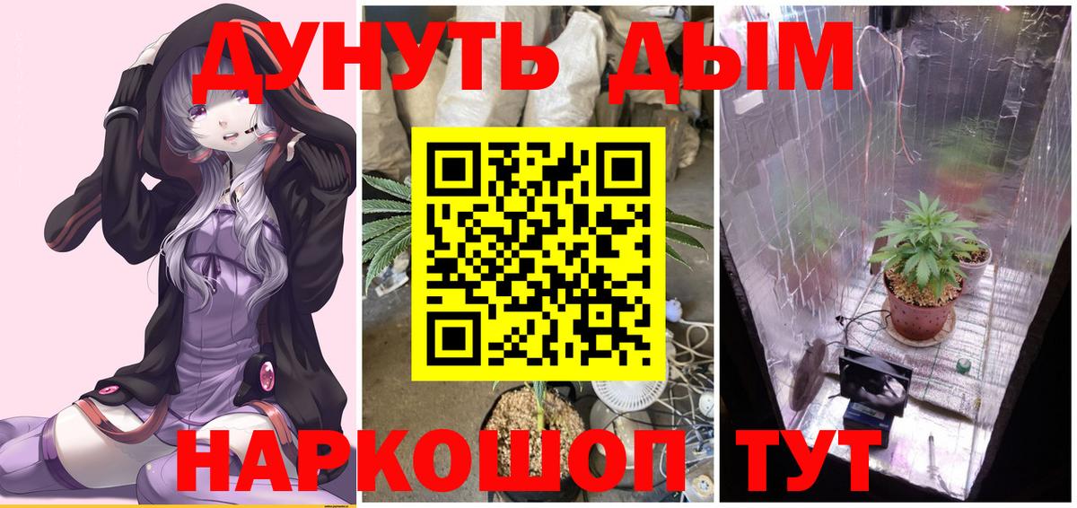 Ивантеевка  Шишки марихуана VHQ  Вход с VPN  Шишки марихуана White Widow 